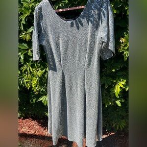 Karina Grimaldi Silver Glitter Midi Dress